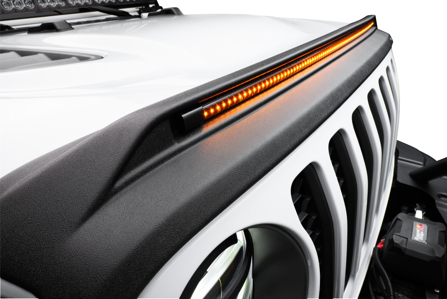 2019 Ram 1500 Bug Shield, Black 2820163 by Husky Liners®
