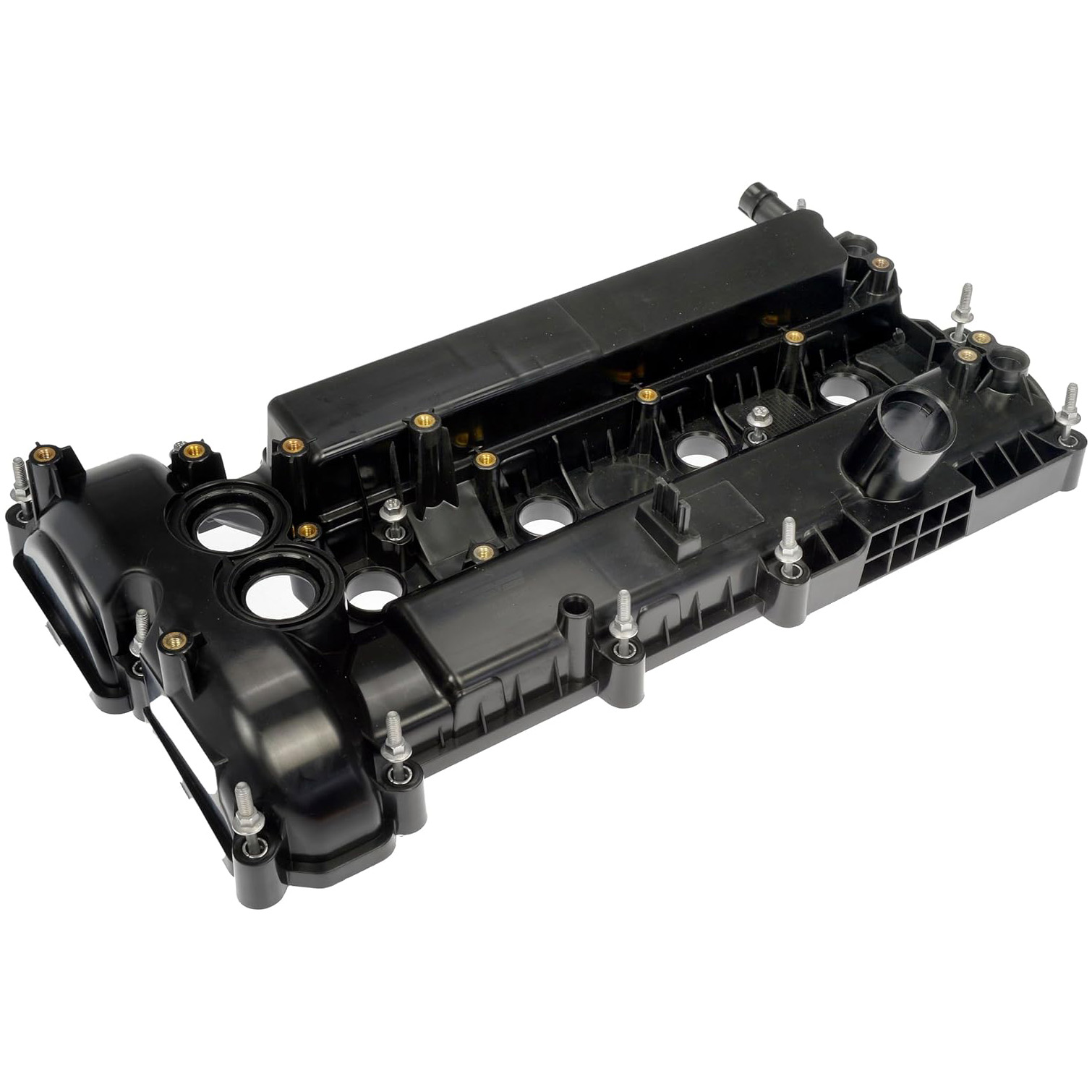 rb264757_1.jpg