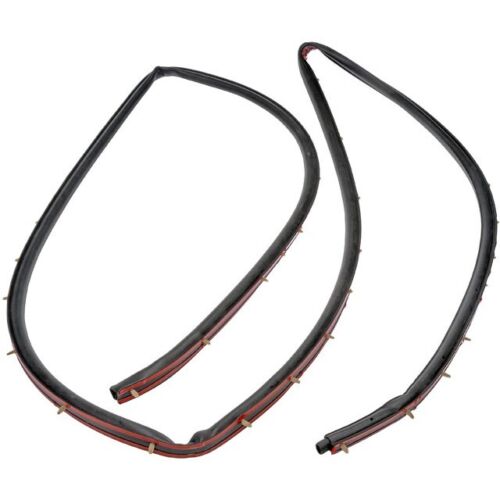 750-5206 HD Solutions Series Door Seal - Door, Sold individually - Cab Door Weather Strip - DORMAN 169.52'' Cab Door Weather Strip - Dorman 750-5206 Right Outer Cab Door Weather Strip Compatible with Select Freightliner Models - Dorman Door Seal 750-5206
