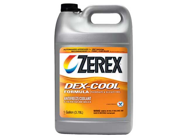 rex12346290_1.jpg