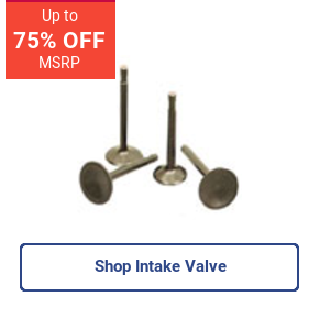 Shop Intake Valve