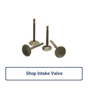 Shop Intake Valve