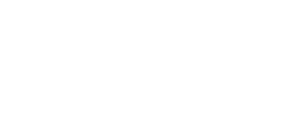 Genuine VW Audi logo