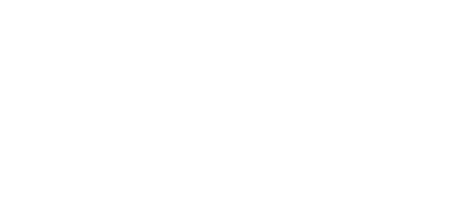 Vaico logo