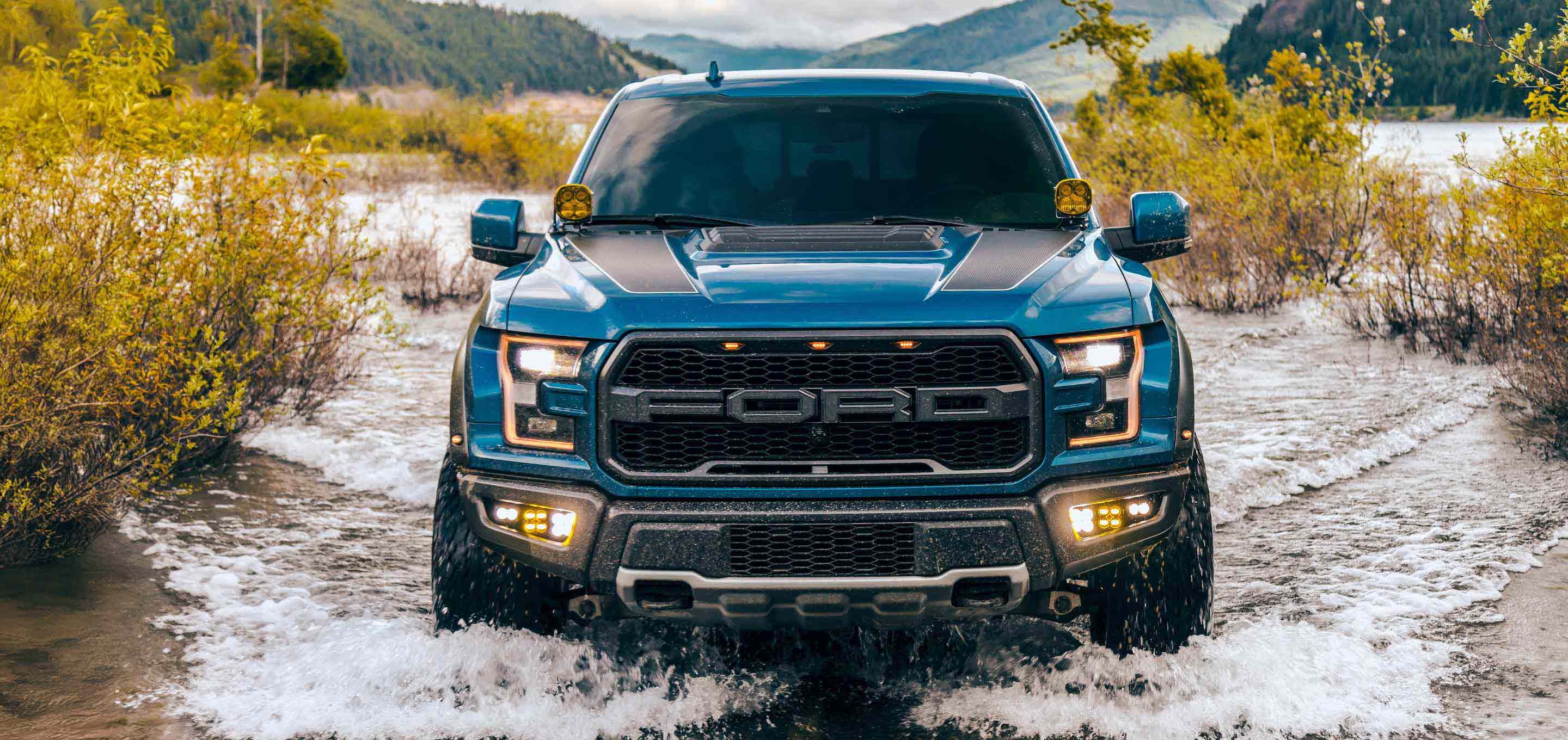 Top Ford F-150 Shock Absorbers and Strut Assemblies