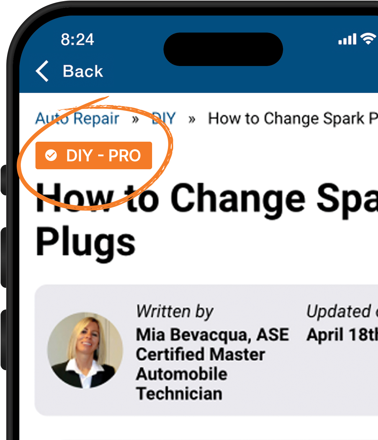 DIY - Pro