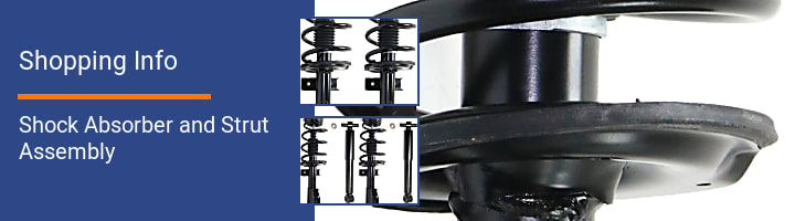 Shock Absorber and Strut Assembly Shopping Info